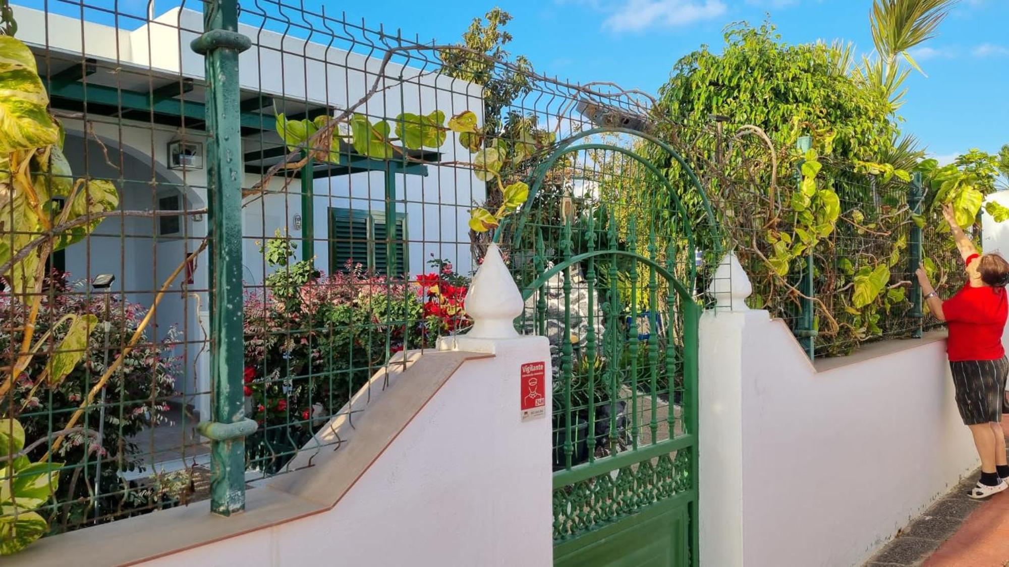 Apartamento Bungalows Isabel Maria 普拉亚布兰卡 外观 照片