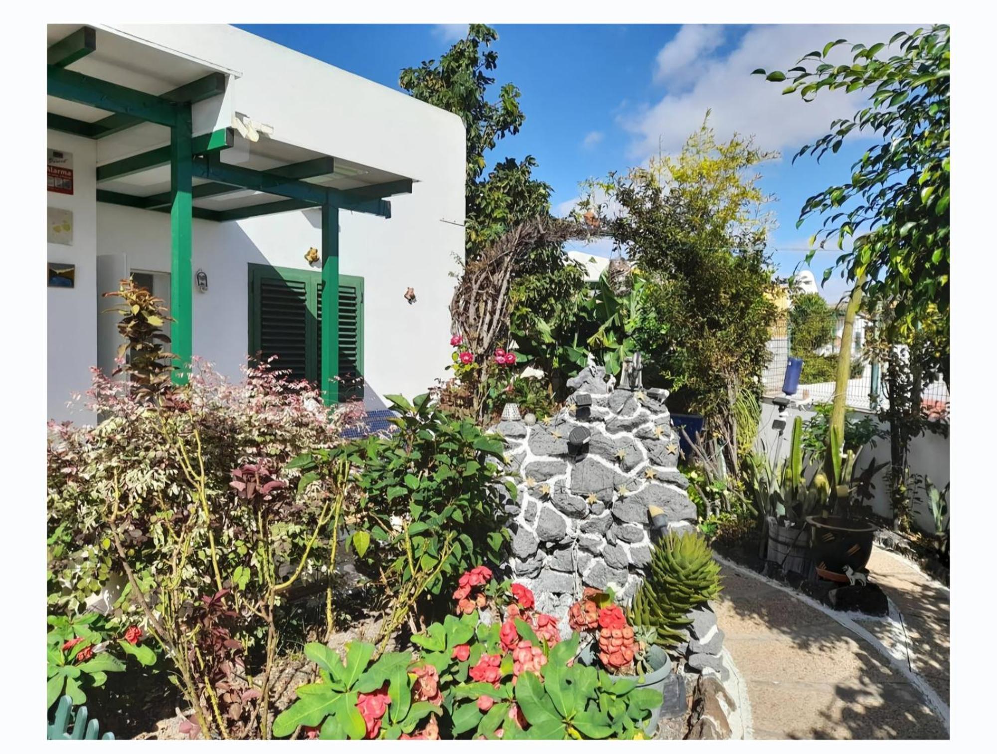 Apartamento Bungalows Isabel Maria 普拉亚布兰卡 外观 照片